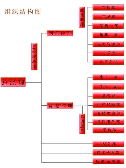 佛山市赛尼洁具有限公司组织架构图